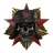 Ui icon ranks prestige 13 large.png